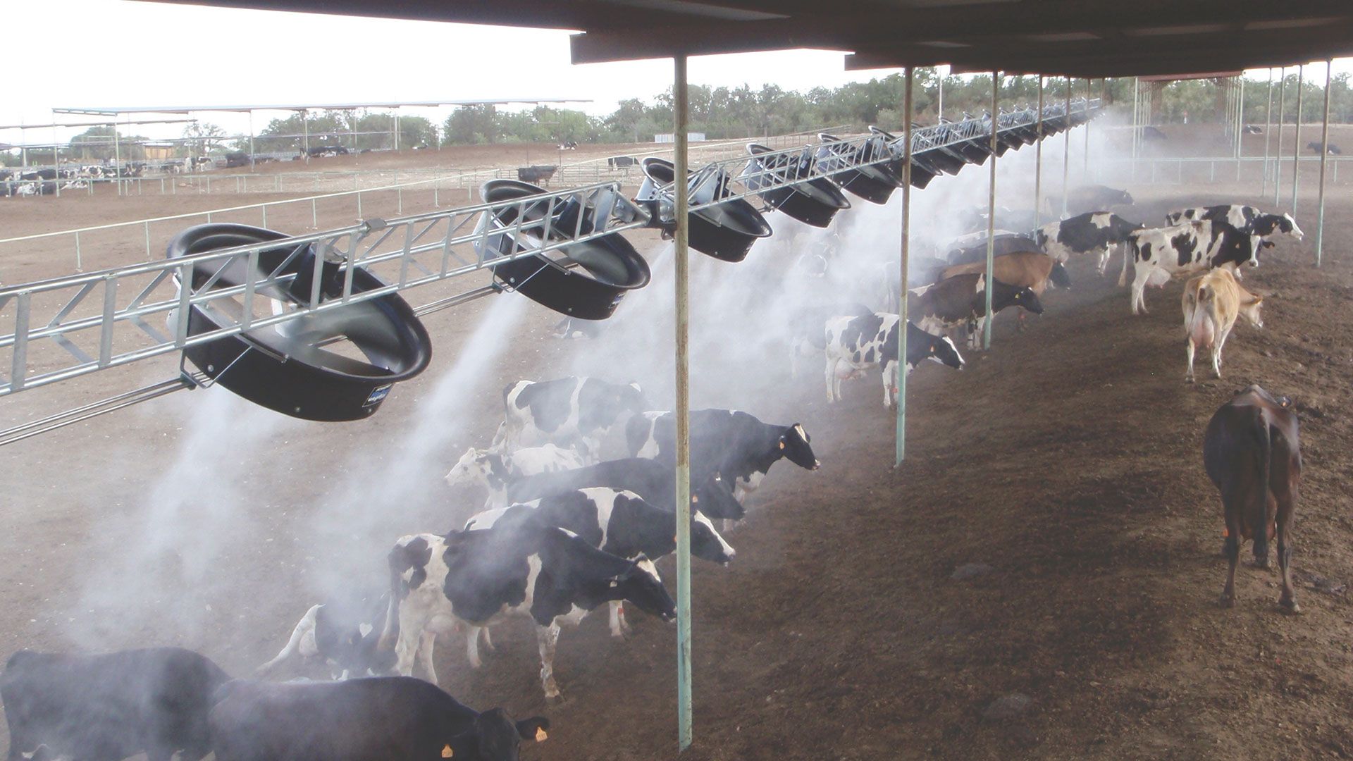 Системы тумана на животноводческих комплексах