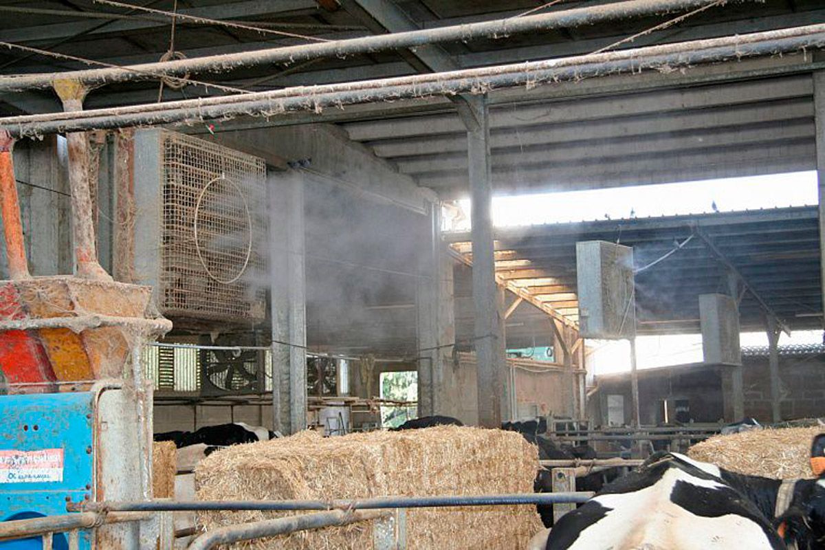 Рассеивание искусственного тумана на животноводческом предприятии