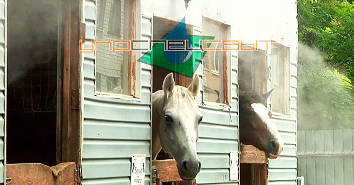 Искусственный туман в конюшне