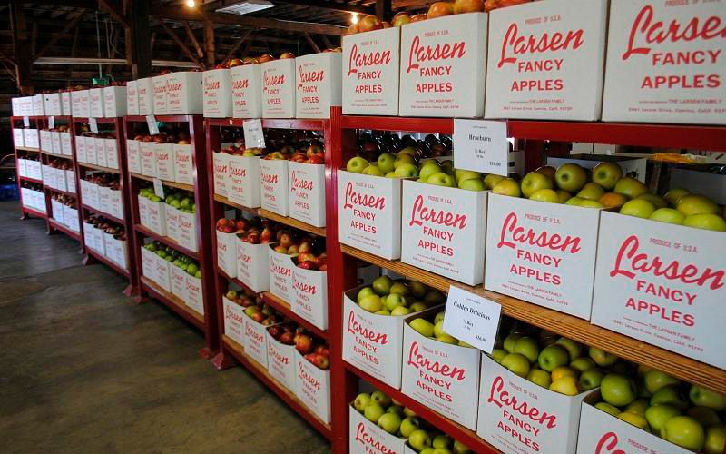 Поддержание микроклимата с помощью туманообразования