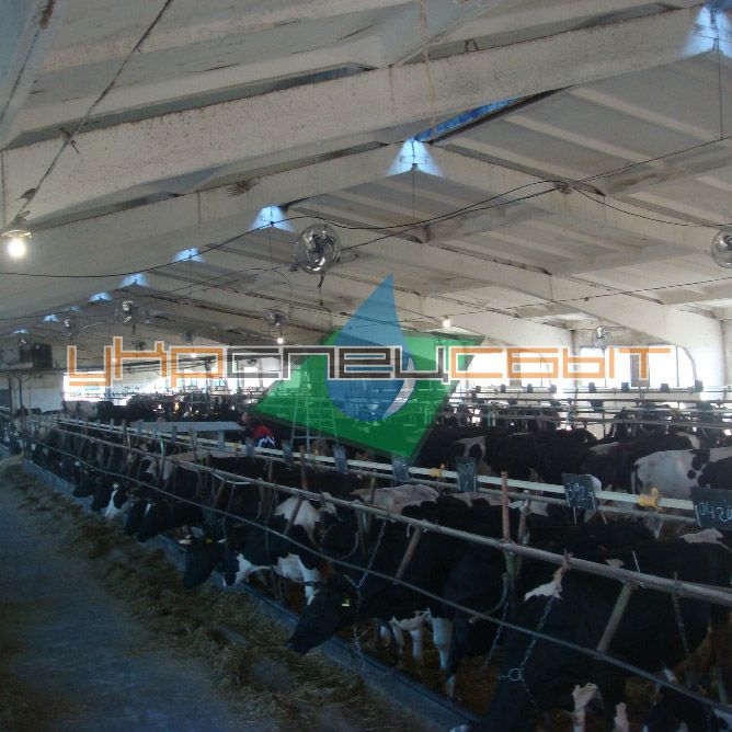 Искусственный туман в коровнике