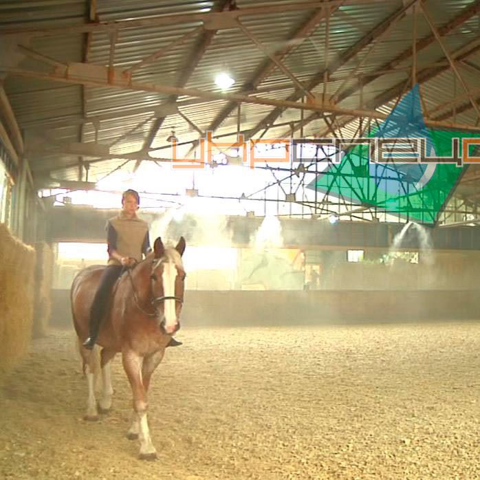 Система туманообразования в конюшне