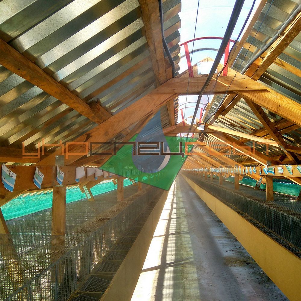 Система тумана на норковой ферме