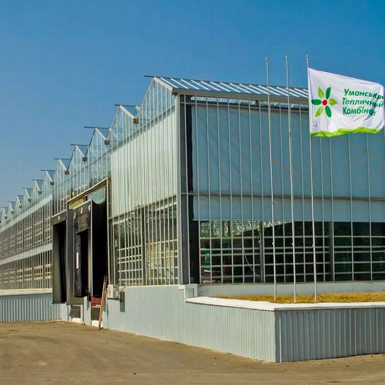 Применение искусственного тумана в условиях тепличного комбината