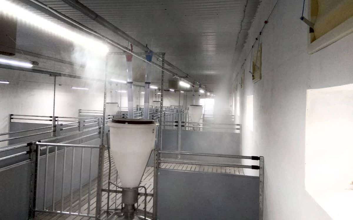 Системы тумана на свинофермах