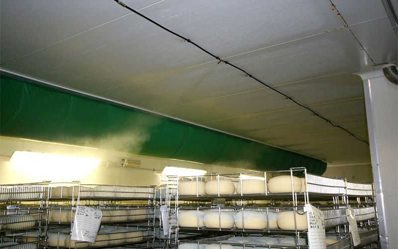 Поддержание микроклимата на производстве сыра