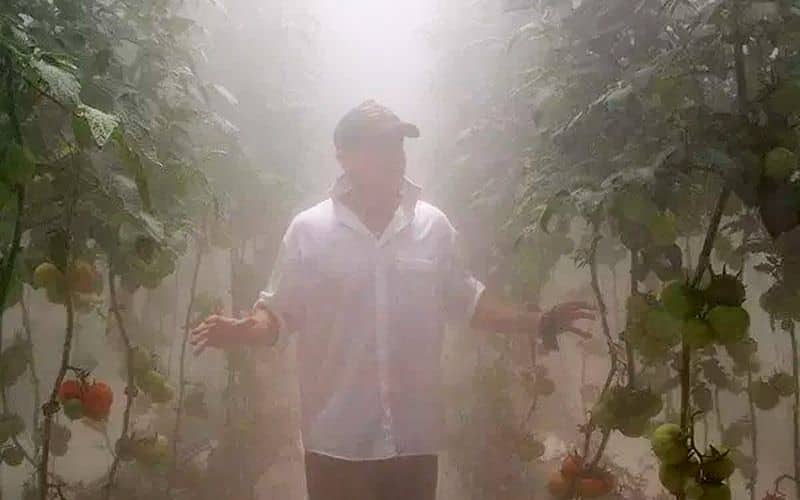 Искусственный туман для микроклимата теплиц и садов